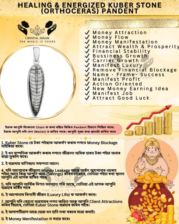 Healing & Energized Kuber Stone (Orthoceras) Pandent